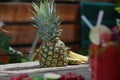 Pineapple ripe fruit in the garden