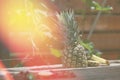Pineapple ripe fruit in the garden Royalty Free Stock Photo