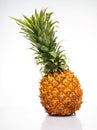 Pineapple ripe yellow color