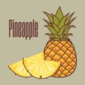 Pineapple with round slices isolated. Flat style vector illustration. Royalty Free Stock Photo