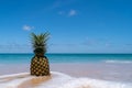 Pineapple on sand with on blue sky summer concept Royalty Free Stock Photo