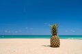 Pineapple on sand with on blue sky summer concept Royalty Free Stock Photo