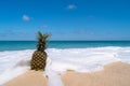 Pineapple on sand with sea water splash on blue sky summer concept Royalty Free Stock Photo