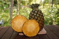 Pineapple scientific name: Ananas comosus is a biennial plant.