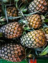 Pineapple fruits