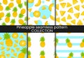 Pineapple seamless pattern. Exotic tropical fruit with stamp texture set, fresh whole juicy yellow ananas collection, decor Royalty Free Stock Photo