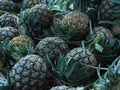 Pineapple sell at street food.