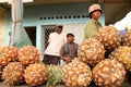 Pineapple sellers