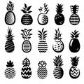 Pineapple set. Collection icons pineapple. Vector Royalty Free Stock Photo