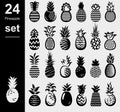 Pineapple set. Collection icons pineapple. Vector Royalty Free Stock Photo