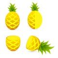Pineapple set element design Royalty Free Stock Photo