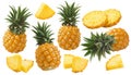 Pineapple set isolated on white background. Whole fruit, round and triangular slices Royalty Free Stock Photo