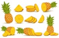 Pineapple set. Pineapple collection. Whole and sliced pineapple isolated on white background with clipping path Royalty Free Stock Photo