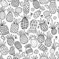 Pineapple set, sketch for your design Royalty Free Stock Photo