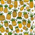 Pineapple set, sketch for your design Royalty Free Stock Photo