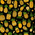 Pineapple set, sketch for your design Royalty Free Stock Photo