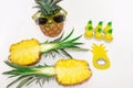 Pineapple set Two pineapples in sunglasses, a mug with juice, one pineapple, a can opener and candles in the shape of pineapples Royalty Free Stock Photo