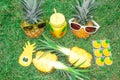 Pineapple set. Two pineapples in sunglasses, one cut pineapple, can opener and candles in the shape of pineapples.Pineapple set. T Royalty Free Stock Photo