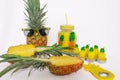 Pineapple set Two pineapples in sunglasses, a mug with juice, one pineapple, a can opener and candles in the shape of pineapples Royalty Free Stock Photo