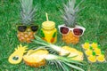 Pineapple set. Two pineapples in sunglasses, one cut pineapple, can opener and candles in the shape of pineapples.Pineapple set. T Royalty Free Stock Photo