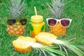 Pineapple set Two pineapples in sunglasses, one pineapple in the cut, against the background of green grass. Royalty Free Stock Photo