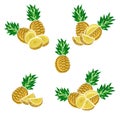 Pineapple set. Vector Royalty Free Stock Photo
