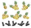 Pineapple set. Vector Royalty Free Stock Photo