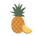 Pineapple set. Whole pineapple and slice isolated on a white background. Vector illustration of tropical fruit in Royalty Free Stock Photo