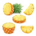 Pineapple set: whole and sliced pineapples. Royalty Free Stock Photo