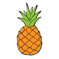 Pineapple. Royalty Free Stock Photo