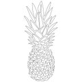 Pineapple sketch. Realistic silhouette. Design for greeting cards, coloring books