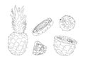 Pineapple sketch rings and cubes