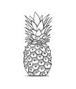 Pineapple, sketch for your design