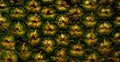 Pineapple skin close up. Pineapple pattern. Pineapple bark. Royalty Free Stock Photo