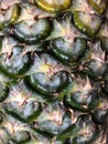 Pineapple skin, Close up of a pineapple showing texture and detail Royalty Free Stock Photo