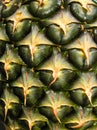 Pineapple skin texture