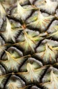 Pineapple Skin texture as background Royalty Free Stock Photo