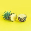 Pineapple slice on pastel color background.fruit refreshment Royalty Free Stock Photo