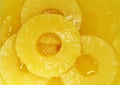 Pineapple slices Royalty Free Stock Photo