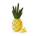 Pineapple with slices on isolated background. Vector cartoon ananas.