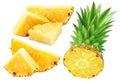 Pineapple slices isolated on white background. Collection Royalty Free Stock Photo