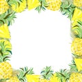 Pineapple and Slices Watercolor Summer Frame Vector Background