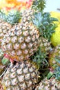 Pineapple sold in the market