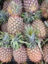 Pineapple sold in the market