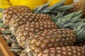 Pineapple sold in the market. Pineapple sold in the fruit market. Pineapples are harvested from the farm were piled.