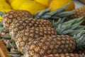 Pineapple sold in the market. Pineapple sold in the fruit market. Pineapples are harvested from the farm were piled.