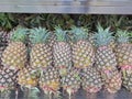 Pineapple sold in the market