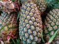 Pineapple sold in supermarkets, Consuming pineapples is a source of daily fiber