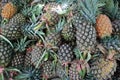 Pineapple sold at a traditional market in Borneo's Mentaya River port