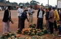 A pineapple stall in Uganda